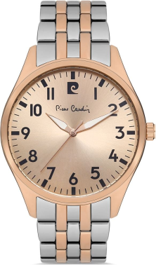 Pierre Cardin 800601F06 Saat