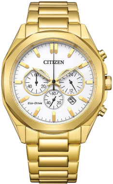 Citizen CA4592-85A Saat