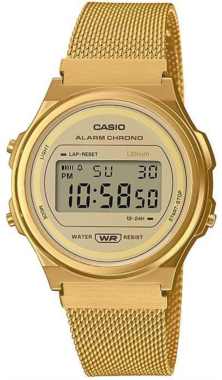 Casio A171WEMG-9ADF Saat