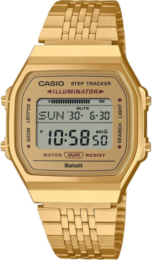 Casio ABL-100WEG-9ADF Saat