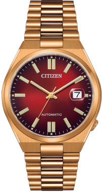 Citizen NJ0153-82X Saat