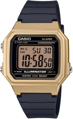 Casio W-217HM-9AVDF Saat