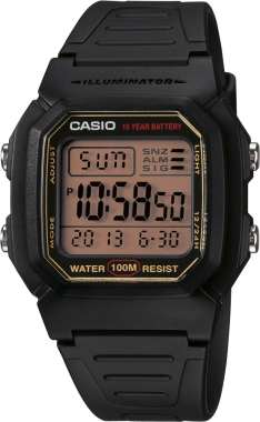 Casio W-800HG-9AVDF Saat