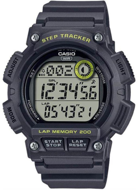 Casio WS-2100H-8AVDF Saat